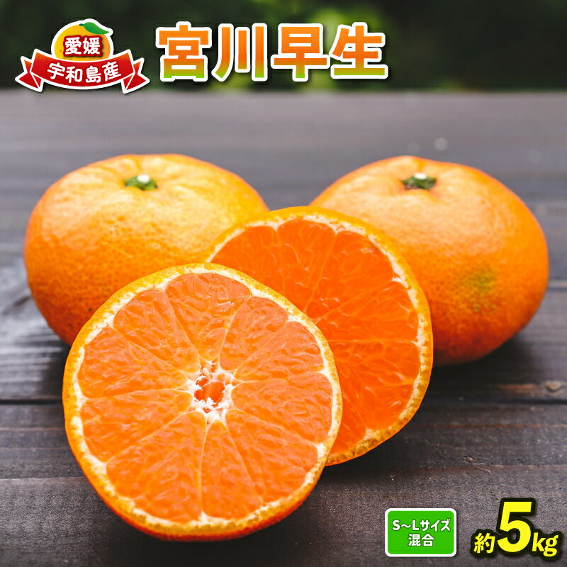 【ふるさと納税】 みかん 愛媛 宮川早生 5kg コルレオファーム サイズ 不揃い 美味しい 蜜柑 早生 甘い 酸味 温州 うんしゅう 温州みかん mikan 果物 くだもの フルーツ 柑橘 農家直送 産地直送 数量限定 国産 宇和島 B010-145003
