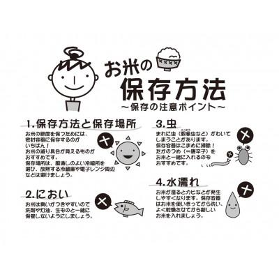 ふるさと納税 最上町 【白米】令和7年産山形県産もがみ誉れ10kg |  | 02