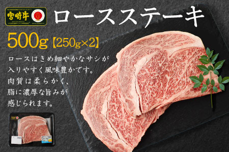 ＜焼肉・バーベキュー＞宮崎牛ロースステーキ(250g×2枚) ※90日以内に発送【C270-24】