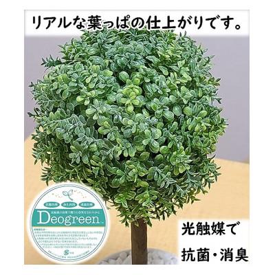 ふるさと納税 芦別市 造花　グリーンボール　光触媒加工済み