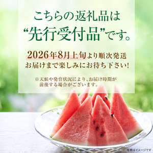 【関東地方までの配送】北海道雨竜町産 小玉スイカ 「マダーボール」2玉 赤肉 スムージー スイカ割り 糖度高め 夏 キャンプ ピューレ 海水浴 すいか 西瓜 甘い 果物 フルーツ 産地直送 お取り寄せ