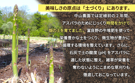 【2027年春発送】富良野産 アスパラ 約1kg 標準 (M～Lサイズ混合)中山農園 アスパラガス 野菜
