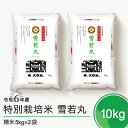 【ふるさと納税】 米 新米 令和6年産 雪若丸 10kg 大石田町産 特別栽培米 精米 送料無料 ※沖縄・離島への配送不可