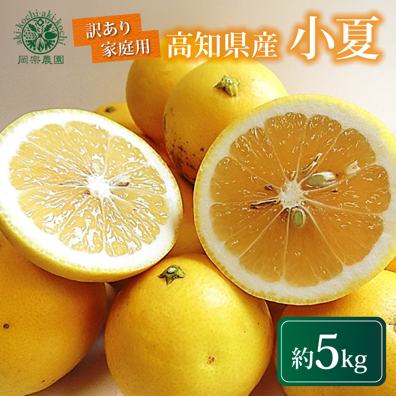 【先行受付】 訳あり メリーガーデンの小夏 5kg 家庭用 フルーツ 果物 みかん 期間限定 柑橘 日向夏 ニューサマーオレンジ