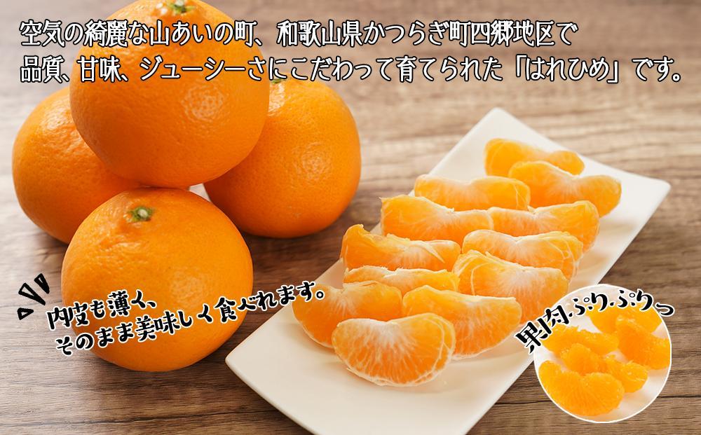 はれひめ（ミカンの希少種） 秀品  約5ｋｇ（25個〜30個入）【先行予約】【2024年12月中旬頃から発送】【KG3】