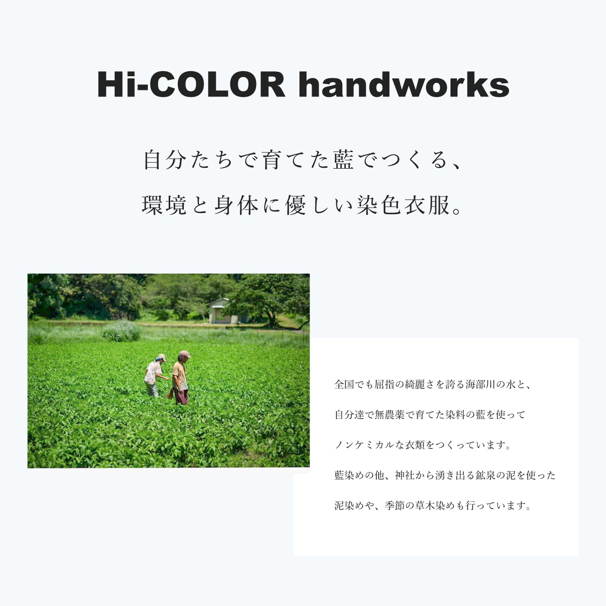 Tシャツ ロングスリーブ S-Lサイズ 袖リブタイプ 藍染 オーガニックコットン ハイカラー×たけの花 曼荼羅 藍 藍染め 天然染料