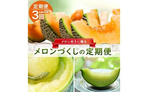 ≪3回定期便≫ メロン好きに贈る メロンづくしの定期便2026(1) 6月下旬～7月上旬 アンデスメロン 2玉 7月中旬～7月下旬 しっかり娘 赤肉メロン 2玉 8月中旬～10月中旬 アールスメロン 2玉 計3回 山形県酒田産 頒布会 食べ比べ JAそでうら　SE0503