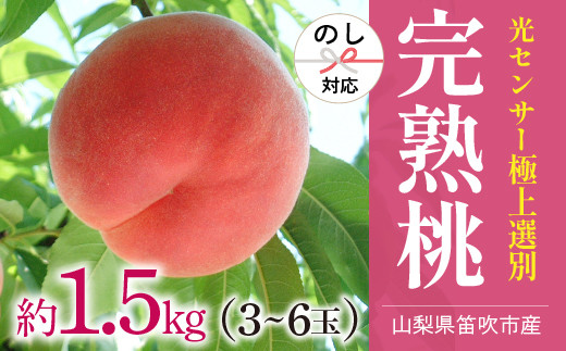 
＜25年発送先行予約＞笛吹市産こだわりの桃 約1.5kg(3～6玉) 常温 090-012
