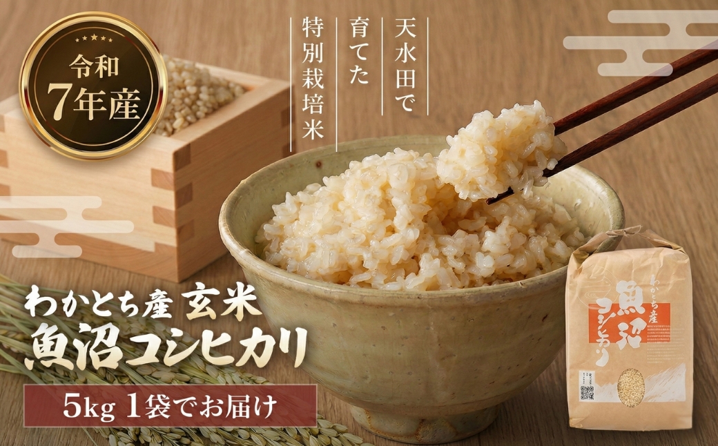 【令和7年産】 わかとち産 魚沼コシヒカリ 特別栽培 棚田米「玄米」5kg 新潟県産 コシヒカリ
