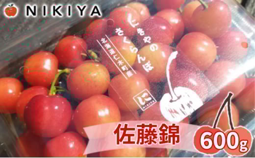 [先行受付] 北海道 仁木町産 さくらんぼ 佐藤錦 600g（300g×2）Lサイズ以上 果物 フルーツ チェリー ジューシー 旬のフルーツ 旬の果物 国産 日本産 [ジャパーナプランニング株式会社]