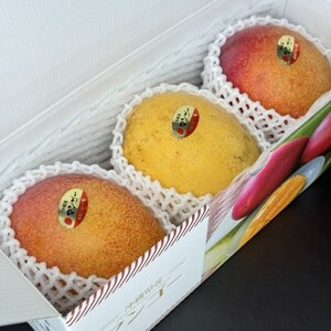 【2026年7月から順次発送・ご家庭向け】アーウィンマンゴー2玉+希少金蜜マンゴー1玉【配送不可地域：離島】【1657378】