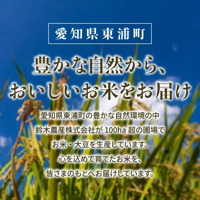 東浦町産　こしひかり　約5kg│米 お米 コメ 白米 精米 新米 愛知県産