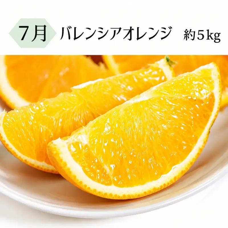 定期便 【全3回定期】果物定期便 バレンシアオレンジ 桃 柿【tkb142】