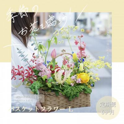 ふるさと納税 芸西村 【毎月定期便】芸西村産季節の生花バスケットフラワーL　アレンジメント【t164tmf-SF】全6回