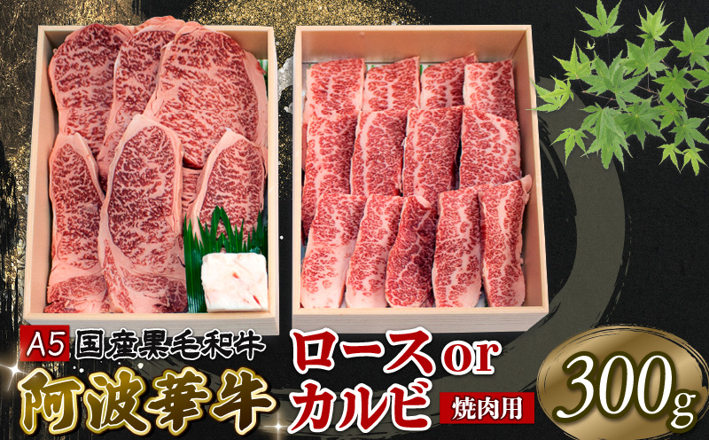焼肉 300g ロース カルビ おまかせ A5等級 阿波華牛 和牛 牛肉 ぎゅうにく 牛 ぎゅう うし 肉 ビーフ ロース すきやき しゃぶしゃぶ 焼肉 BBQ アウトドア キャンプ ギフト プレゼン
