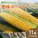 【ふるさと納税】北海道 豊浦 千葉ファーム 朝もぎ とうもろこし 恵味ゴールド 11本 L～LLサイズ 【 ふるさと納税 人気 おすすめ ランキング 野菜 とうもろこし トウモロコシ 国産 朝もぎ 大容量 サイズ おいしい 美味しい 新鮮 北海道 豊浦町 送料無料 】 TYUY001