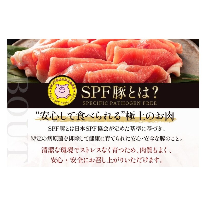 北海道産 SPF豚ロース 1kg 8mmスライス 冷凍 豚ロース 豚肉 ぶた肉 ロース 精肉 熟成 豚丼 とんかつ ポークソテー ポーク 1キロ 北海道 滝川市_イメージ2