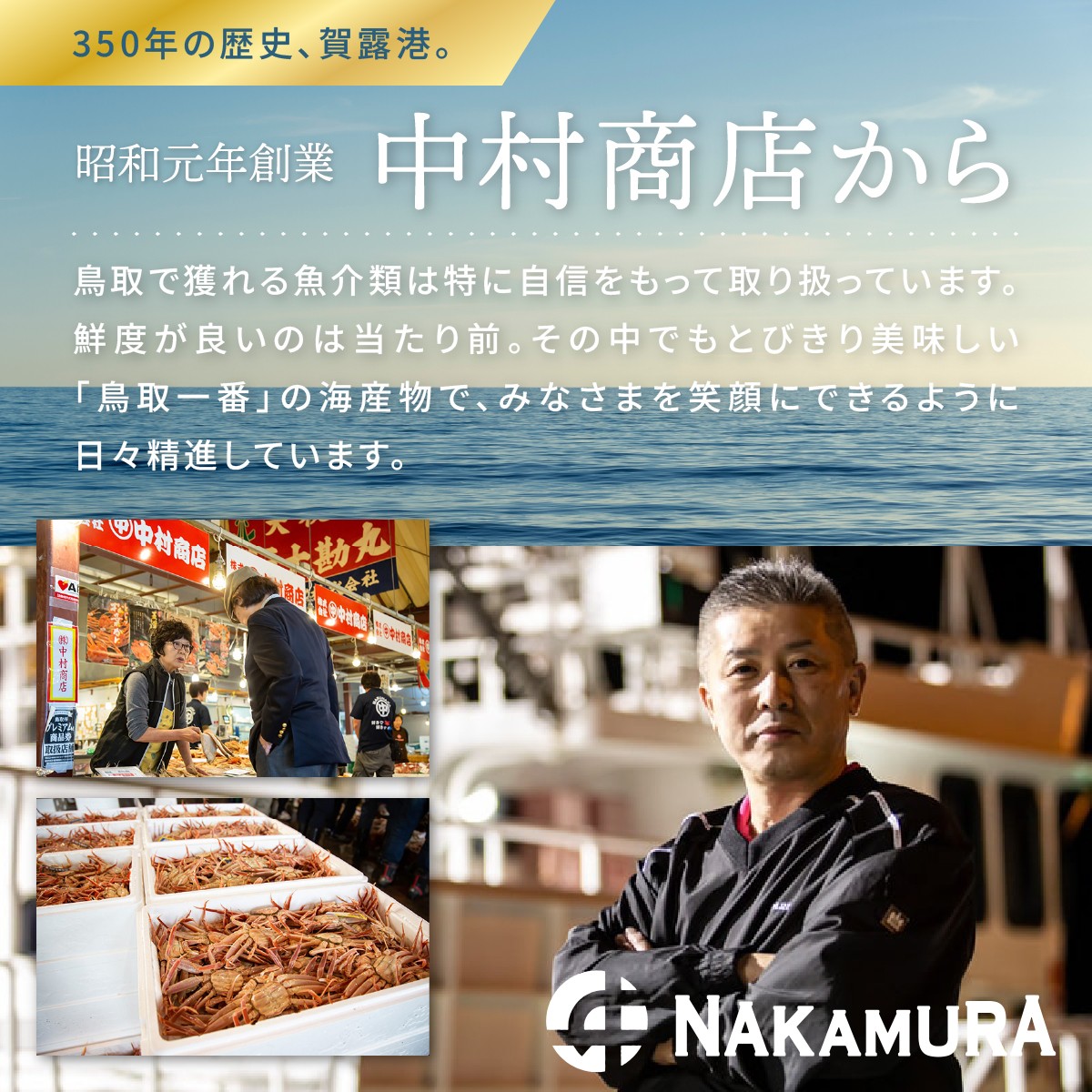 特撰　松葉がに（なま）【ブランドタグ付き】800g超の大きいサイズ　食べ応えあり　特大1杯【期間限定】