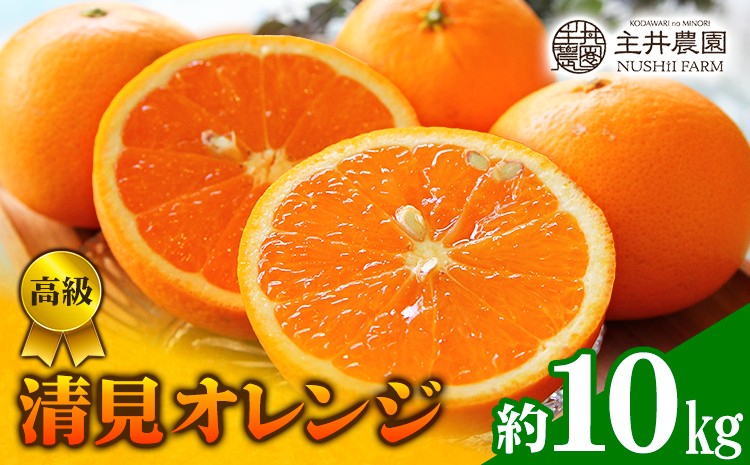 
                  【先行予約】高級 清見オレンジ 約 10kg 主井農園《2月下旬-3月中旬頃出荷》 和歌山県 日高町 高級 清見 オレンジ 果物 柑橘 みかん 送料無料
                