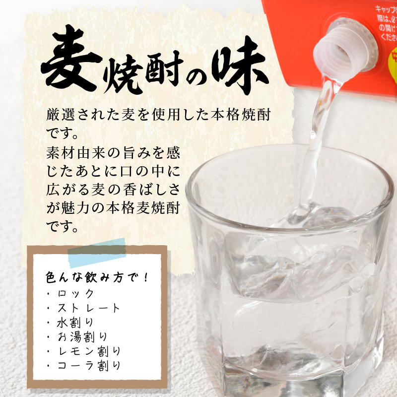 【定期便3回】本格麦焼酎 めちゃうま麦飲み比べ900mlパック×6本セット _Tk071 定期便3回