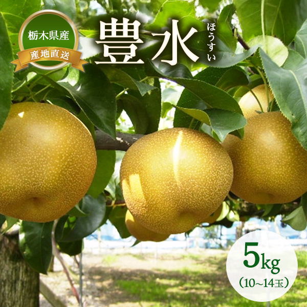 梨 豊水 約5kg（10~14玉）　※離島への配送不可　※2025年9月上旬～9月下旬頃に順次発送予定