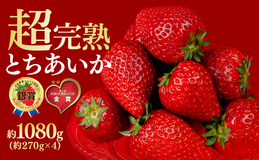 【先行受付：2月以降発送】いちご 鈴木ファームの完熟＆朝採り とちあいか レギュラーサイズ 約270g × 4パック 合計1080g | いちご イチゴ 苺 とちあいか とちおとめ 完熟 甘い あまい 果物 フルーツ くだもの 旬 産地直送 栃木県産 鈴木ファーム 栃木県 茂木町