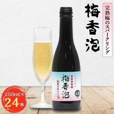 【ふるさと納税】＜完熟梅のスパークリング＞　梅香泡(うめかほう)　24本入_ 紀州完熟梅 ブランデー 天然水 梅酒 酒 アルコール 人気 おすすめ 送料無料 贈答 ギフト スパークリング 【1033663】