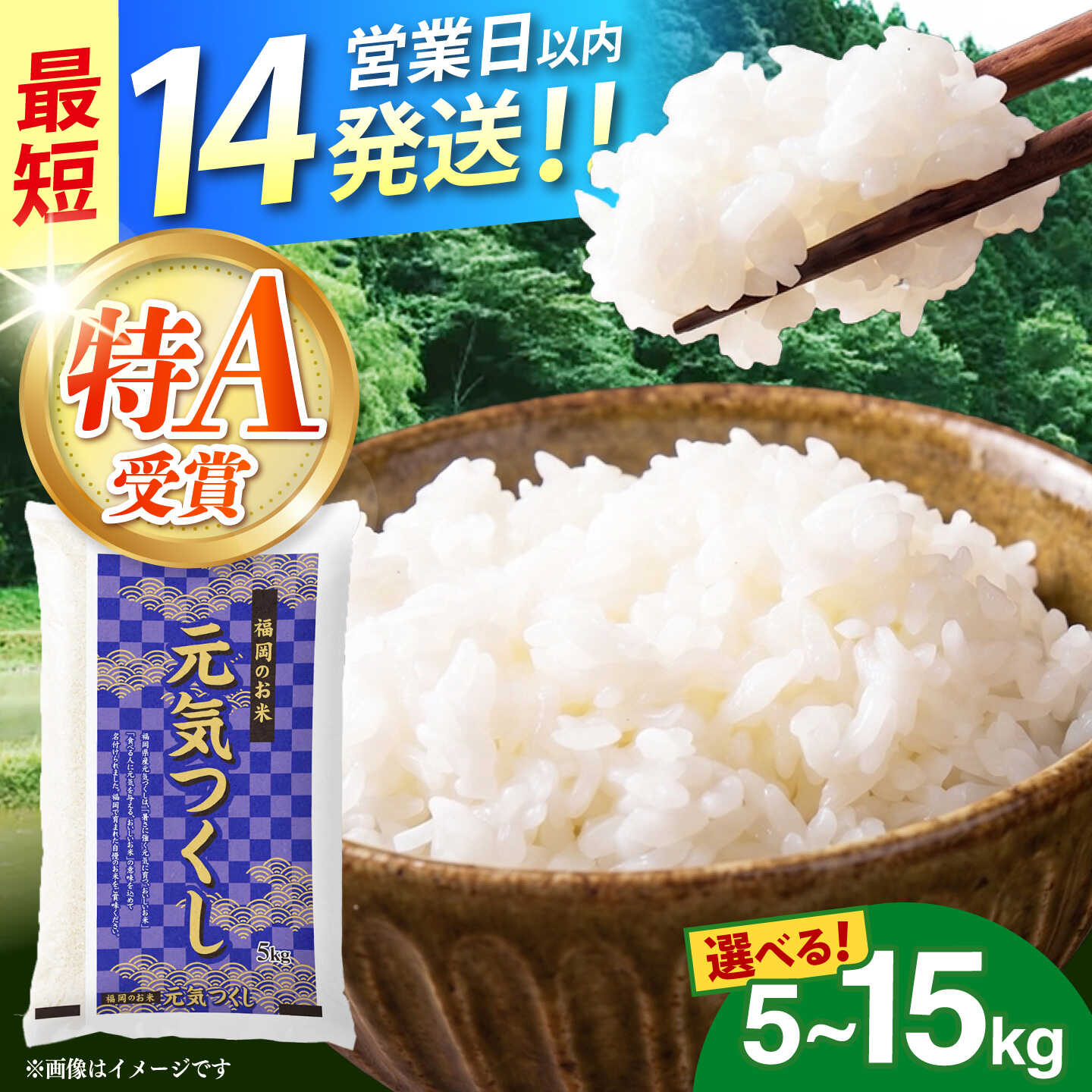 【ふるさと納税】【選べる容量 5kg / 10kg / 15kg】令和7年産 福岡県産 元気つくし《築上町》【カネガエ】[ABFA004]