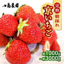 【ふるさと納税】【数量限定】高級 京いちご 選べる 内容量 約1000g～3000g（250g 4パック/8パック/12パック）【紅ほっぺ おいCベリー スターナイトから厳選してお届け】訳あり 完熟 朝採れ ※離島への配送不可 ※2025年2月上旬～5月下旬頃に順次発送予定