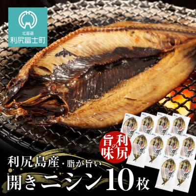 ふるさと納税 利尻富士町 利尻島産 開きニシン10枚＜利尻漁業協同組合＞