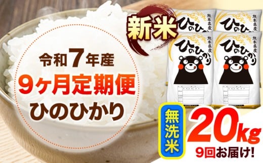 新米 令和7年産 【9ヶ月定期便】 無洗米 ひのひかり 20kg 《お申し込み月の翌月から出荷開始》 熊本県産 無洗米 白米 精米 ひの 送料無料 熊本県 山江村 SDGs むせんまい 米 コメ こめ 国産 