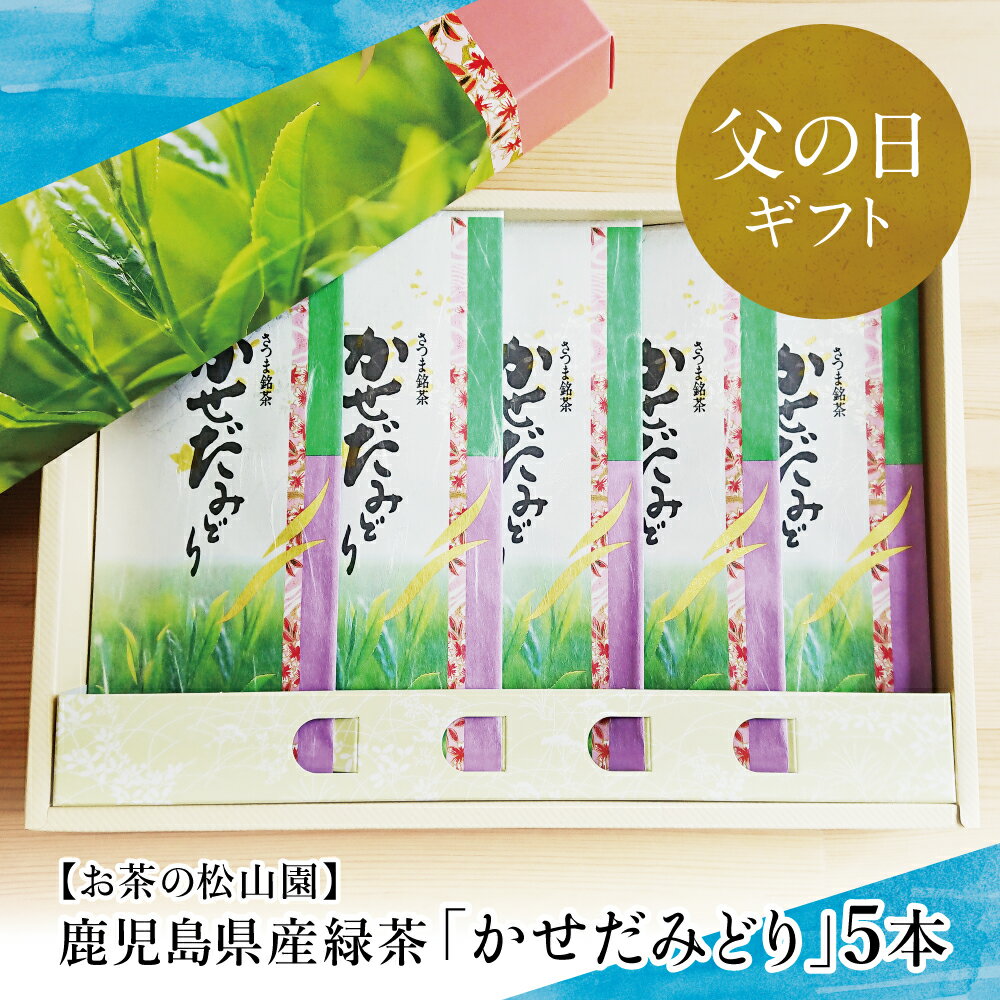 【ふるさと納税】【父の日ギフト】鹿児島県産緑茶 かせだみどり（80g×5袋） お茶 茶葉 日本茶 緑茶 飲料 飲み物 ギフト 贈答用 国産 鹿児島県産 南さつま市 お茶の松山園 贈り物 ギフト 贈答用 送料無料