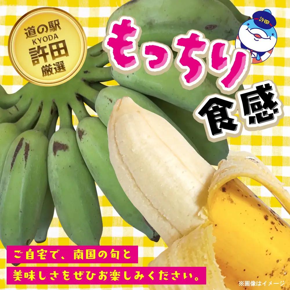 道の駅「許田」が厳選した南国フルーツ アップルバナナ 約2kg 2027年発送 バナナ 2kg やんばる 南国フルーツ トロピカル 国産 グルメ 濃厚 もっちり 完熟 新鮮 産地直送 お取り寄せ 道の