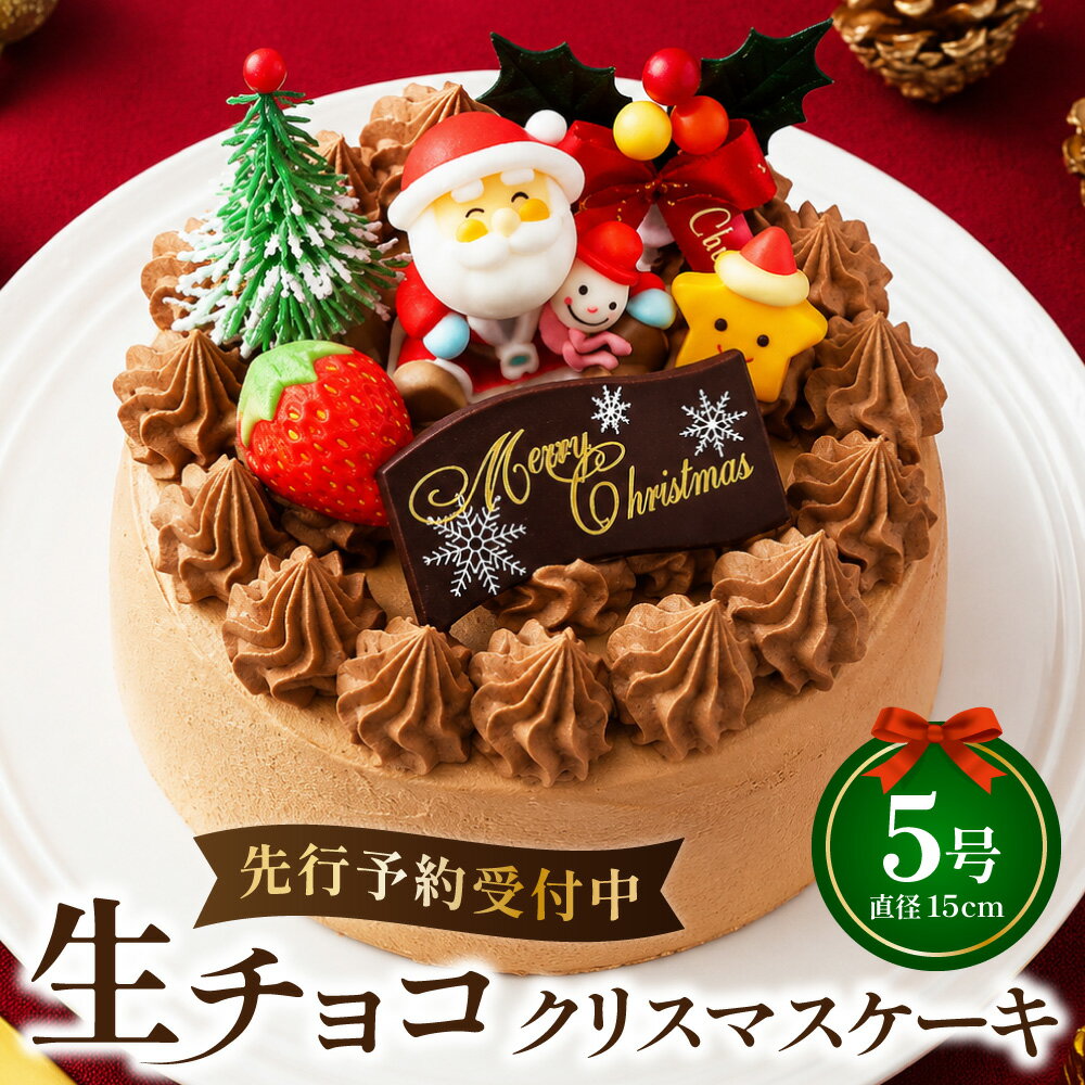 【ふるさと納税】生チョコ クリスマス ケーキ【2026年12月18日から23日発送予定】｜ケーキ クリスマス 先行予約 予約 ホールケーキ 生チョコレート 生チョコ ケーキ屋 スイーツ 大阪府 阪南市 送料無料