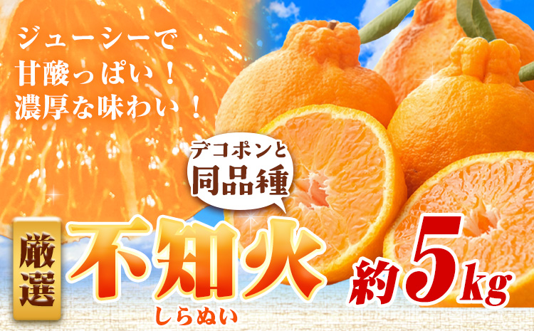 厳選 不知火5kg+250g（傷み補償分）【デコポンと同品種・人気の春みかん】【光センサーで食べ頃出荷】 池田鹿蔵農園@日高町（池田農園株式会社）《2月上旬-4月中旬頃より出荷》和歌山県 日高町【配送不可地域あり】---wsh_idn332_2j3m_25_19000_5kg---