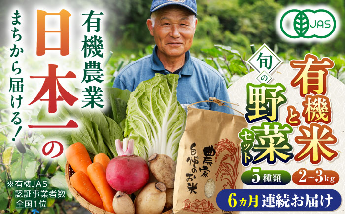【全6回定期便】有機米と旬のお野菜セット【株式会社 肥後やまと】 [YAF025]