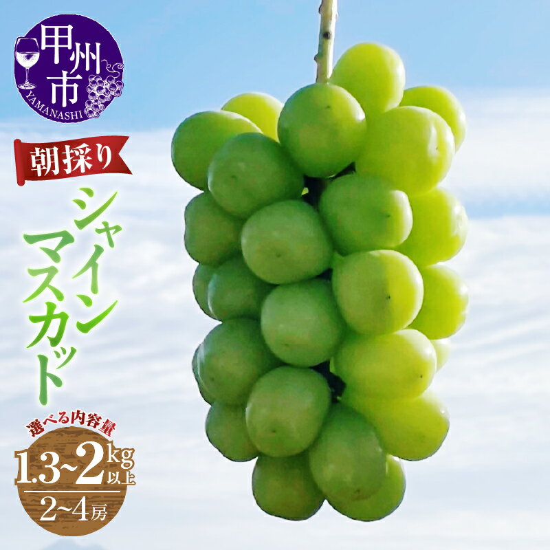 【ふるさと納税】 シャインマスカット 2房～4房 選べる 内容量 1.3kg以上 2kg以上 果物 山梨 甲州市産 期間限定 9月 10月 11月 発送 2025年発送 朝採り 人気 厳選 フルーツ ぶどう 葡萄 果実 くだもの マスカット 社員マスカット 農家直送 (ABE)