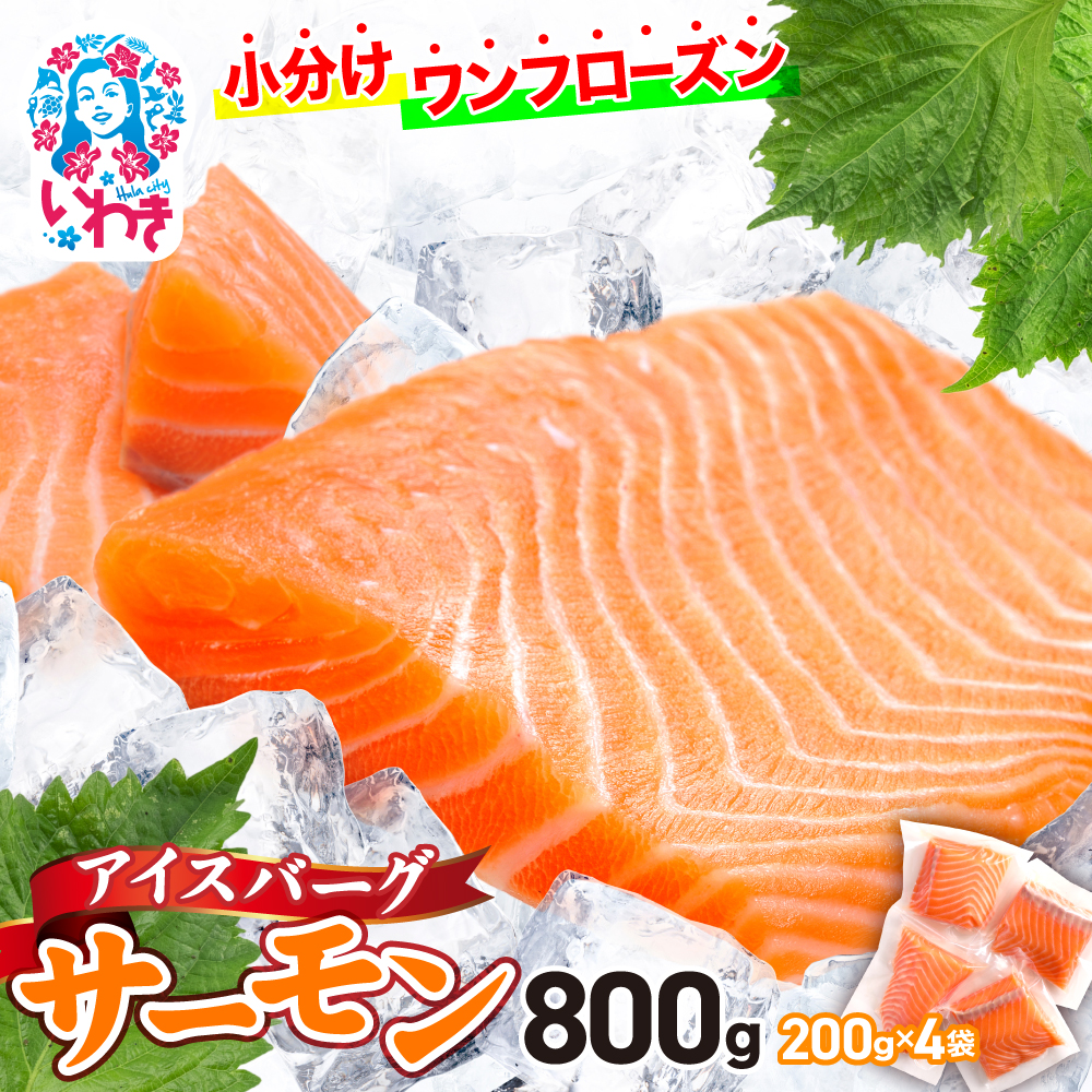 アイスバーグサーモン(アトランティックサーモン) 約800g(約200g×4袋) | サーモン ふるさと納税 サケ さけ しゃけ 刺し身 お刺身 個包装 魚介類 寿司 | 【DK006-800g】