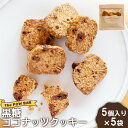 【ふるさと納税】黒糖 ココナッツ クッキー 5個入り 5袋 計25個 オンライン 申請 ふるさと納税 北海道 ニセコ 体に優しい スイーツ お菓子 おやつ 焼菓子 洋菓子 コーヒーのお供 サクサク食感 パウバー ニセコ町 【28010】