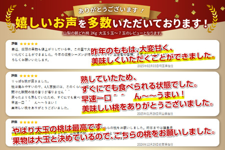 【 2024年 先行予約 】山梨 の 朝どれ 桃 2Kg　大玉5玉～7玉 山梨桃 桃 大玉桃