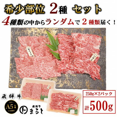 【ふるさと納税】【飛騨牛】お勧め希少部位2種セット　250g×2【配送不可地域：離島】【1721860】