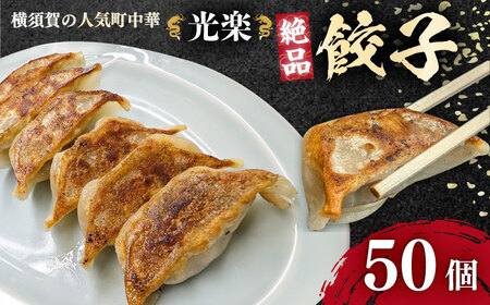 冷凍餃子 50個セット [AKGZ001] 餃子