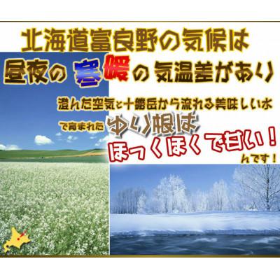 ふるさと納税 富良野市 2026年秋発送開始 北海道 富良野産　百合根(ゆりね) 1kg 訳あり |  | 03