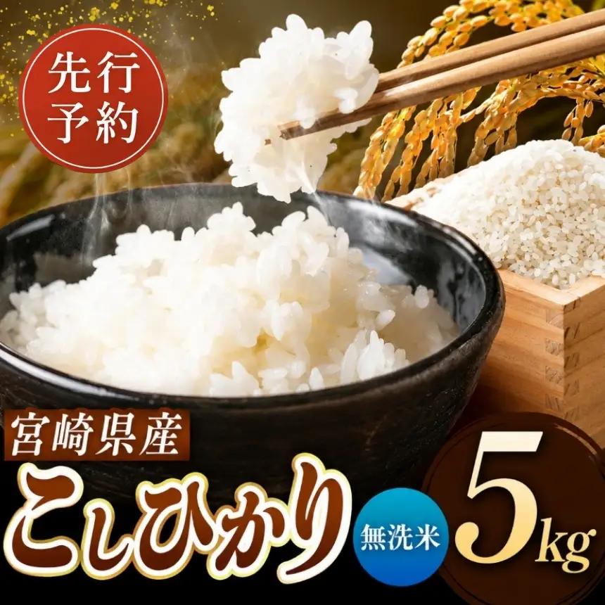 令和8年産 こしひかり 5kg （無洗米） 宮崎県産