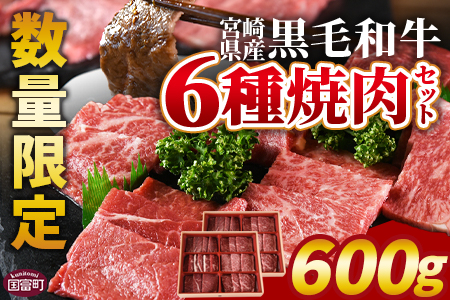 数量限定 ＜宮崎県産黒毛和牛(経産)6種焼肉セット 600g＞入金確認後、1か月程度で出荷【 国産 黒毛和牛 牛肉 牛 精肉 焼き肉 焼肉 サーロイン リブロース 肩ロース ウデ モモ バラ 贈答品 