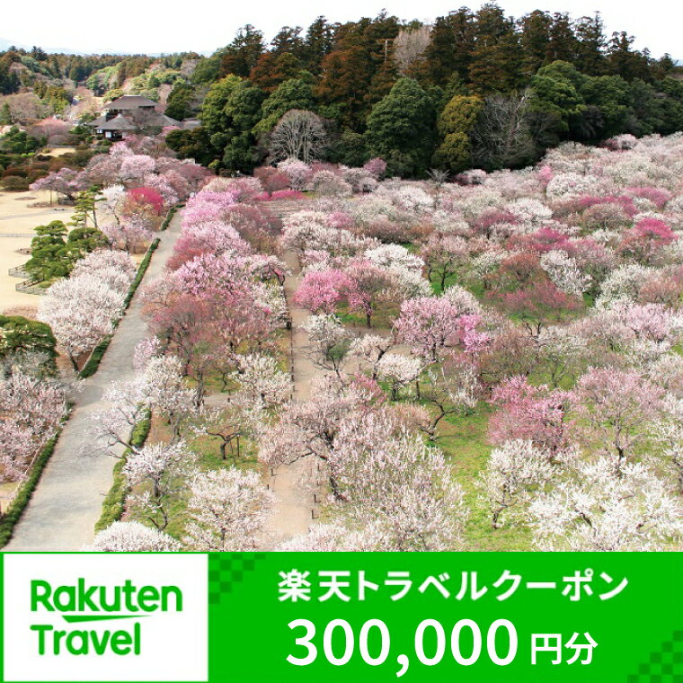 【ふるさと納税】 楽天トラベルクーポン 茨城県水戸市の対象施設で使える楽天トラベルクーポン 寄付額1,000,000円 ふるさと納税（BI-14）