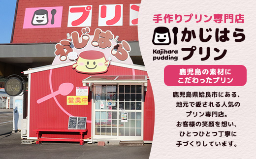 【選べる】 プリン 冷凍 セット 濃厚 なめらかプリン 焦がしキャラメリーゼ 計10個 おやつ 洋菓子 卵 ストック 甘味 (a529-C) 焦がしキャラメリーゼ×10個