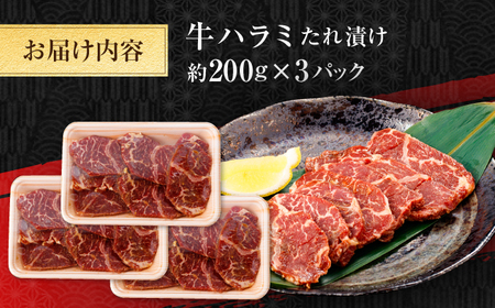 牛ハラミ　たれ漬け 約200g×3 総計約600g / 訳あり 数量限定 小分け 柔らかい！！ 【(有)山重食肉】[ATAP143]