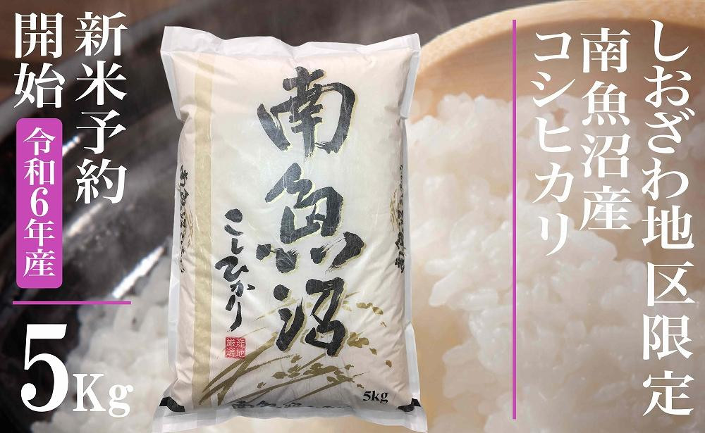 
            【新米予約・令和6年産】精米５Kg 生産地限定 南魚沼しおざわ産コシヒカリ
          