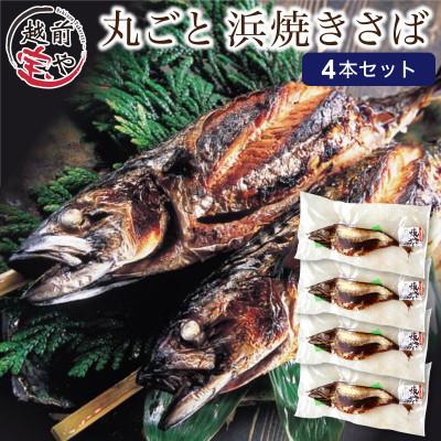 ふるさと納税 福井市 浜焼きサバ　丸ごと串刺し4本入